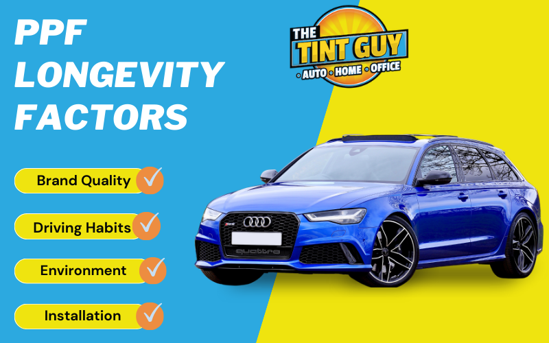 Infographic for The Tint Guy featuring factors that affect PPF longevity