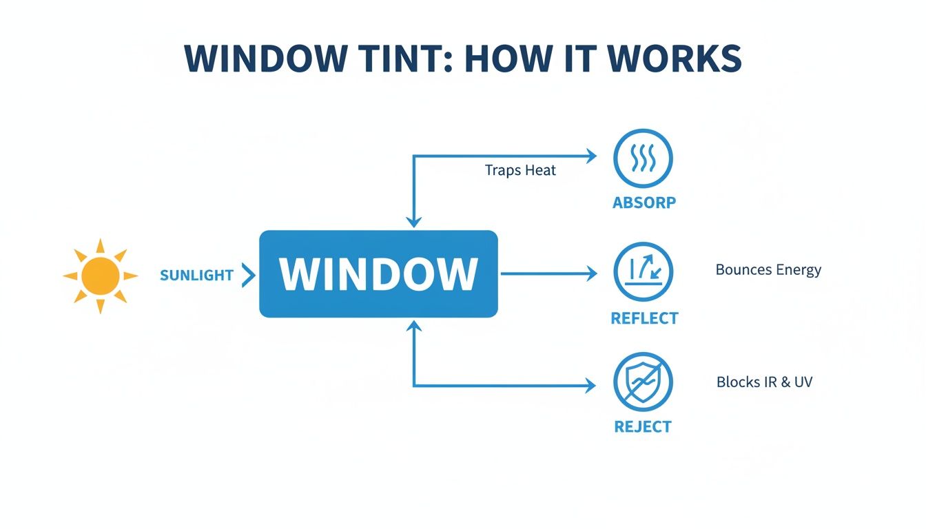 Diagram illustrating how window tint works to absorb heat, reflect energy, and block IR & UV rays.